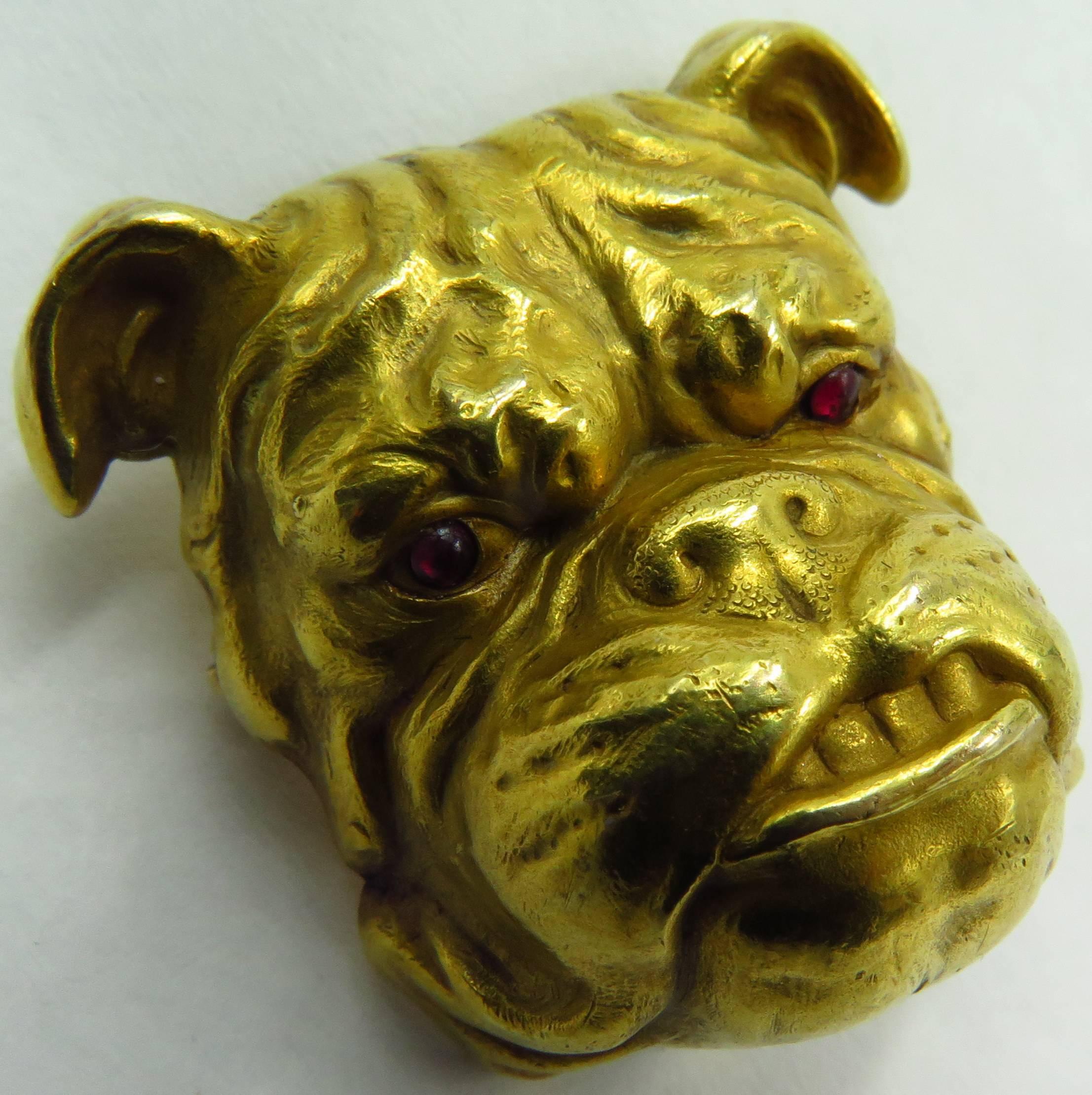 Fantastic Victorian Detailed Gold Bulldog Pin With Cabochon Cut Ruby Eyes 1