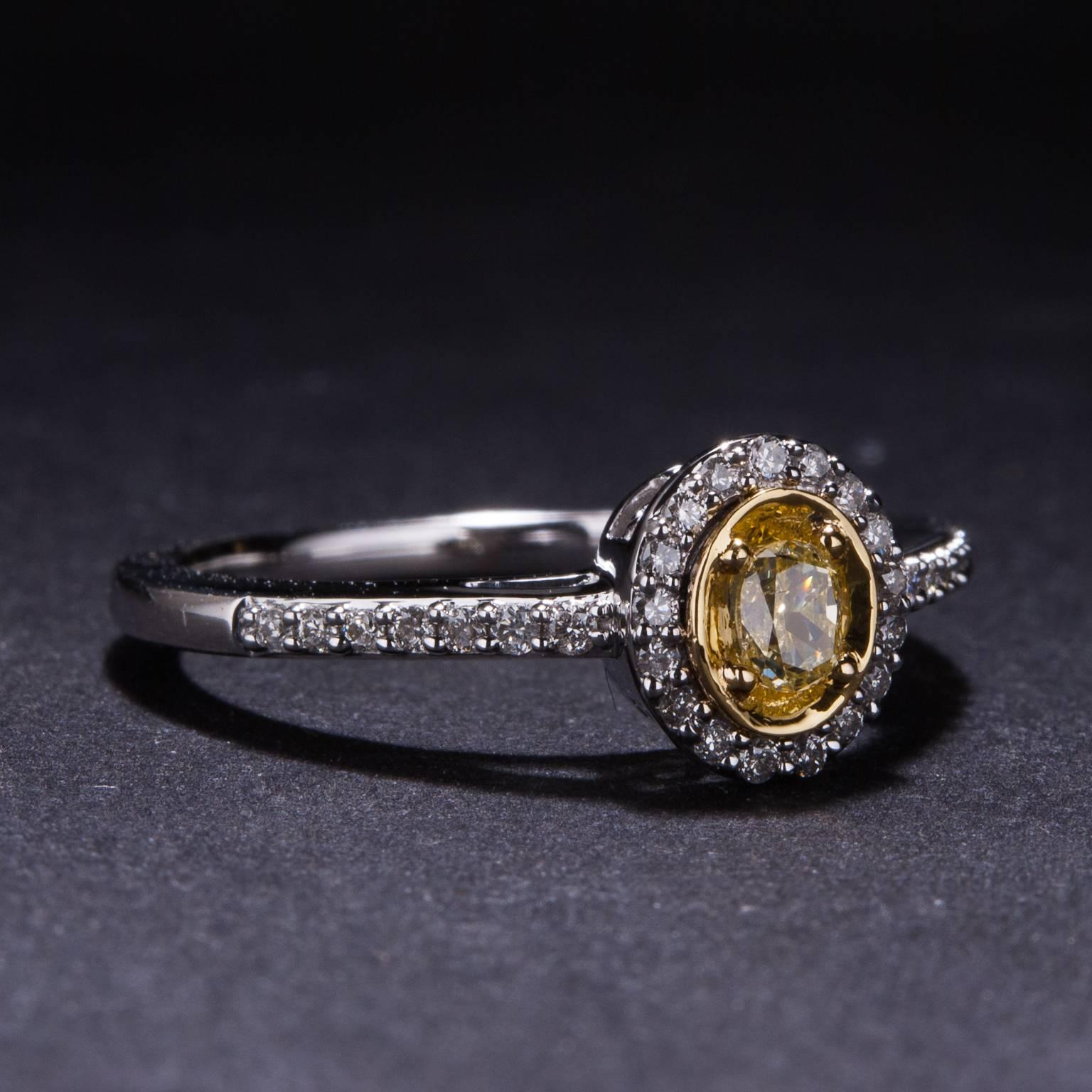 Contemporary .38 Carats Fancy Yellow Diamond Two Color Gold Ring For Sale
