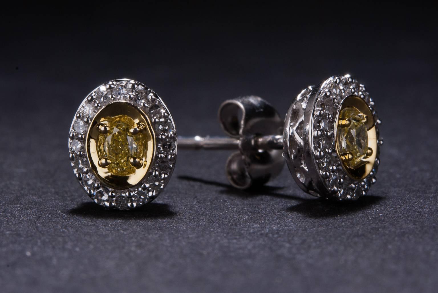 This beautiful pair of diamond stud earrings is crafted is 14k white and yellow gold. The two center fancy yellow diamonds weigh a combined total of .18 carats and they are surrounded by a halo of white diamonds weighing .14 carats total.