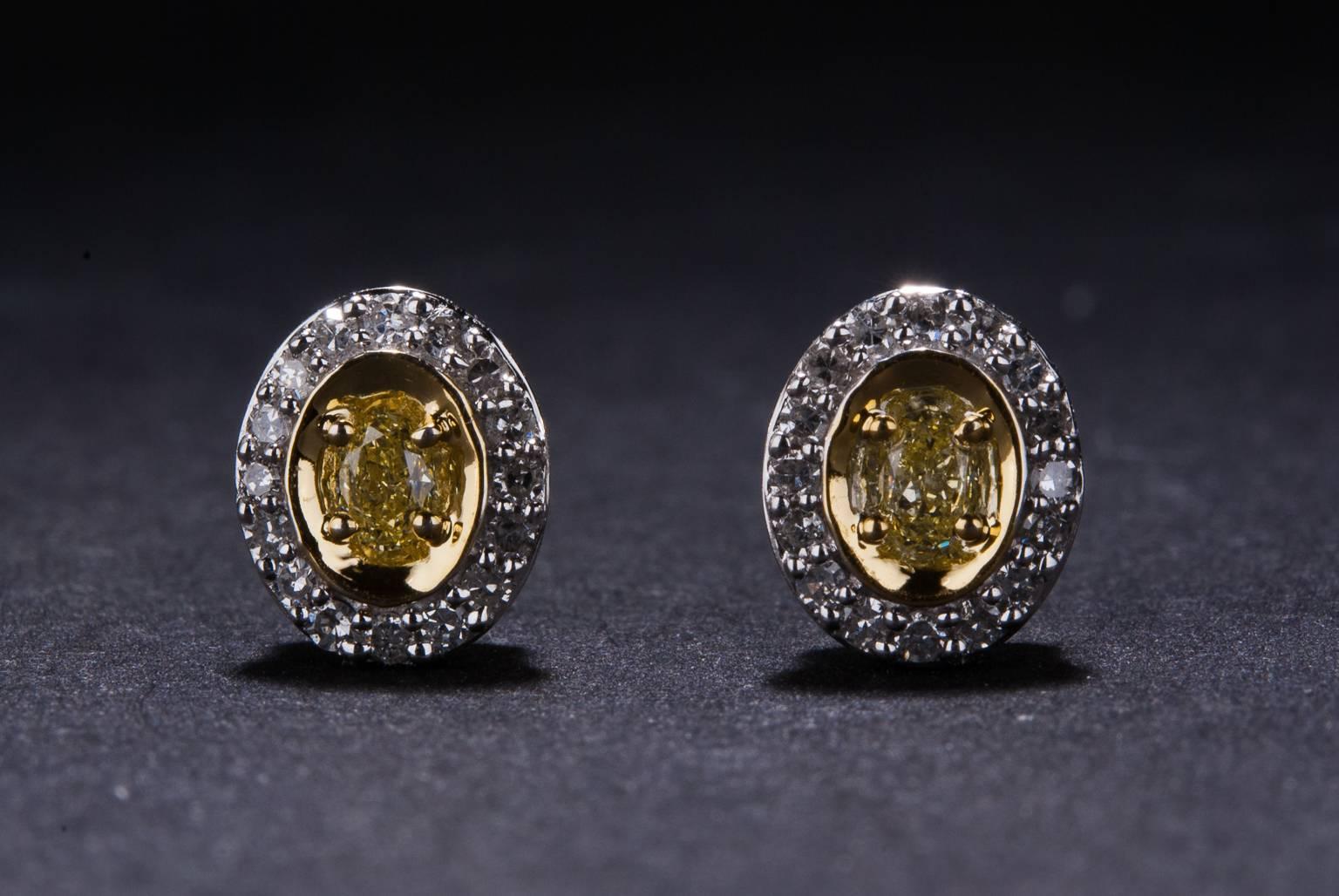 .32 Carats Fancy Yellow Diamonds Two Color Gold Stud Earrings In New Condition For Sale In Carmel, CA