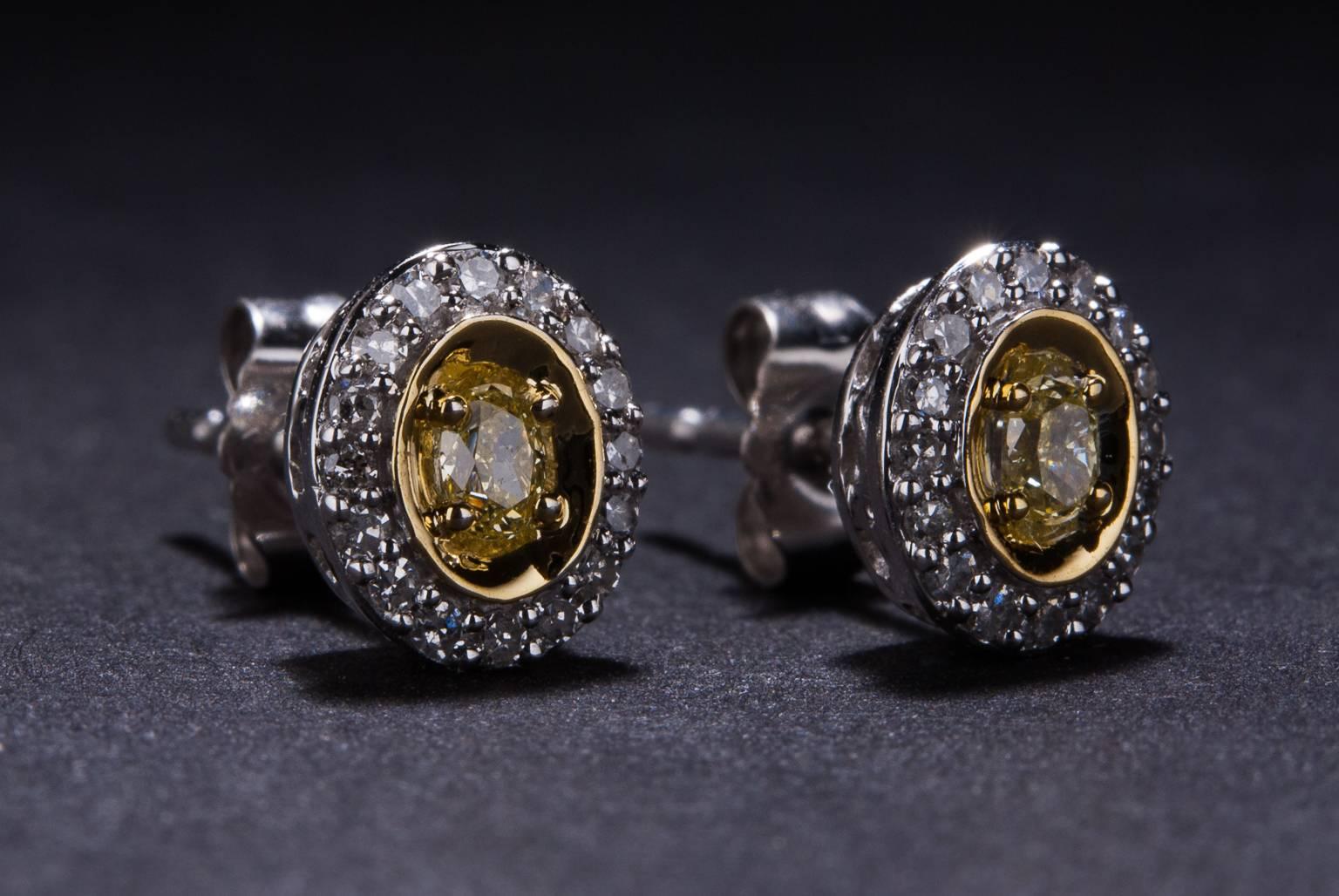 Contemporary .32 Carats Fancy Yellow Diamonds Two Color Gold Stud Earrings For Sale