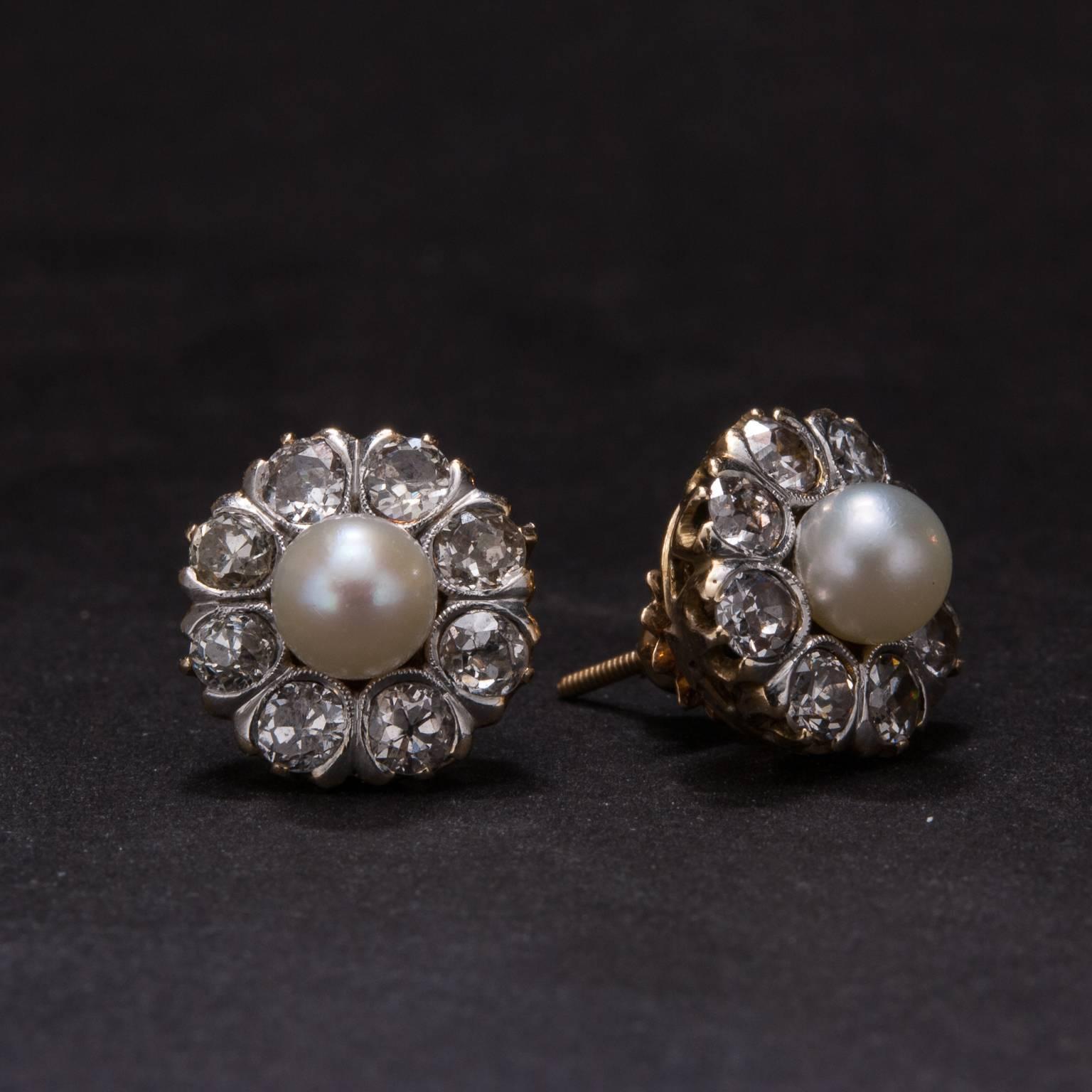 A lovely pair of pearl and diamond earrings featuring 2 5.5mm center pearls and 1.50 total carats of Old European Cut diamonds. The earrings are made in 18k yellow gold with platinum overlay.