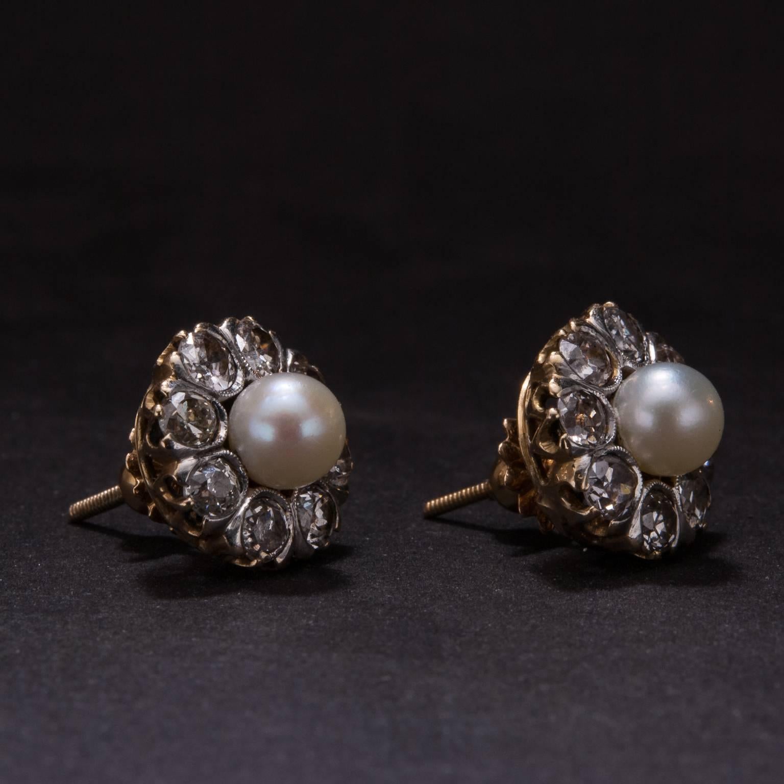 Edwardian Pearl and Old European Cut Diamond Earrings in Platinum over Gold For Sale