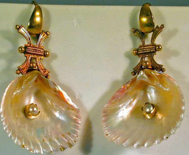 Unique Victorian shell earrings set with pearls in 15K gold. Delightful to wear day or night. The earrings measure 1 3/4