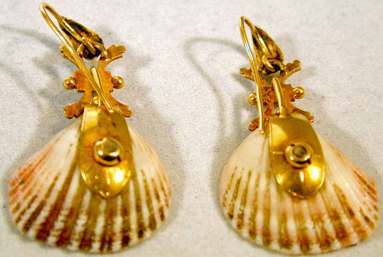 Antique Shell Pearl Gold Earrings In Excellent Condition In Baltimore, MD