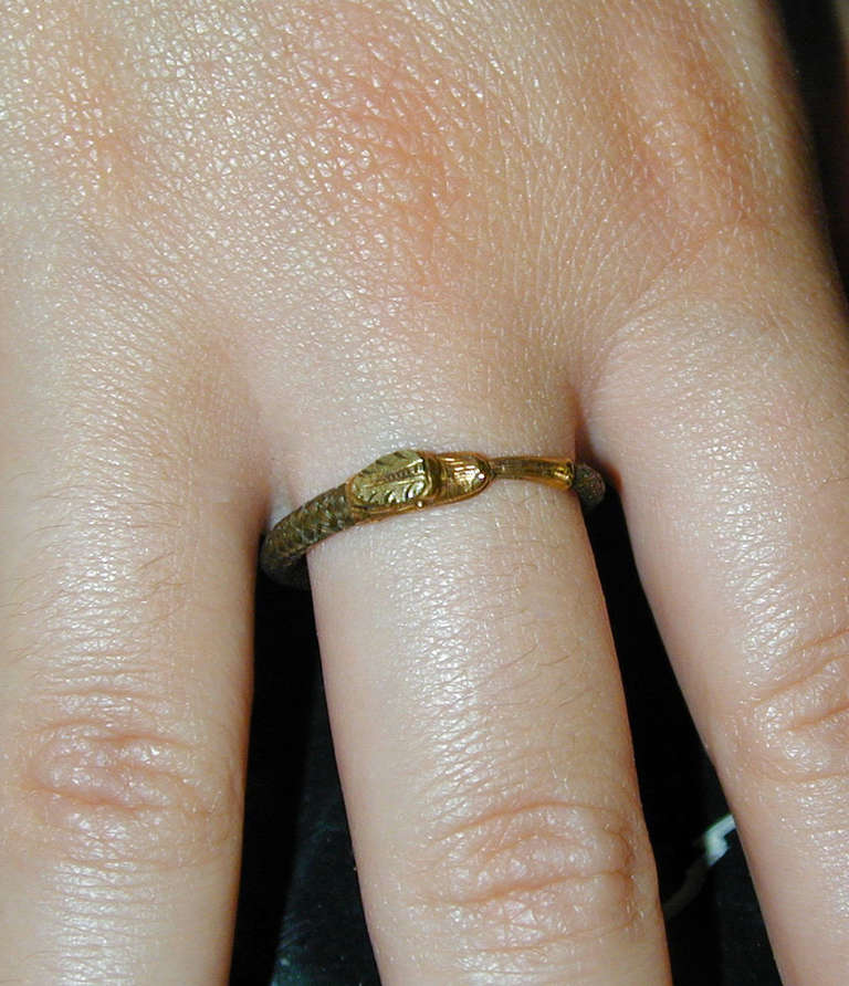 Antique Gold Snake and Hair Ring 1