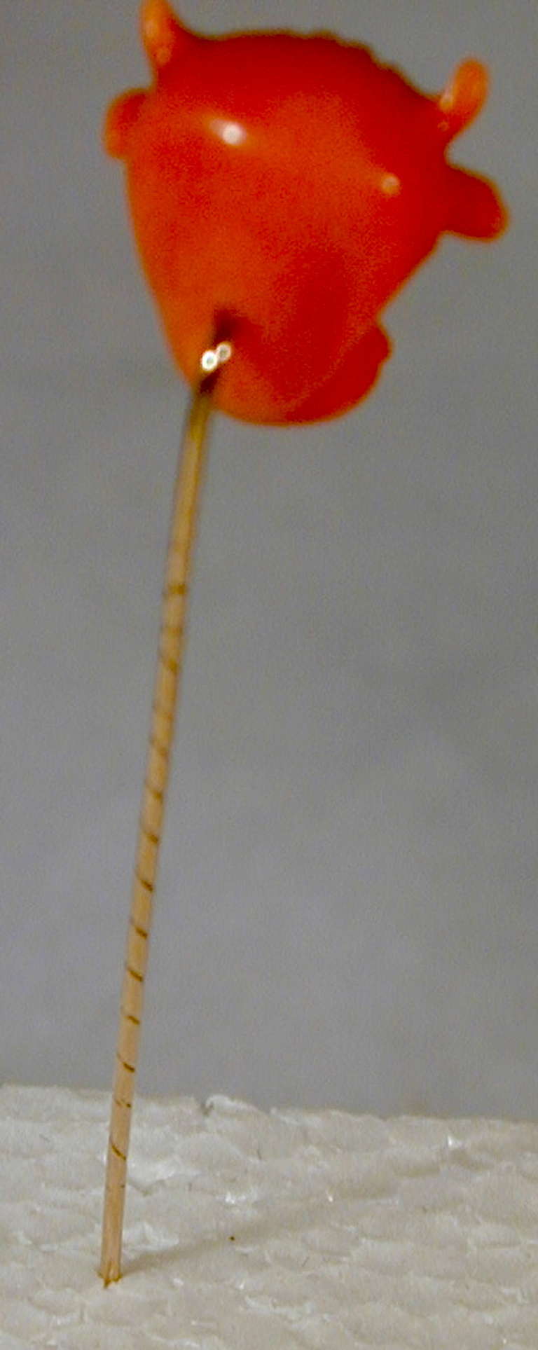 Dramatic and strong Victorian coral bullhead stickpin will boldly adorn a lapel or tie. The coral head measures 5/8
