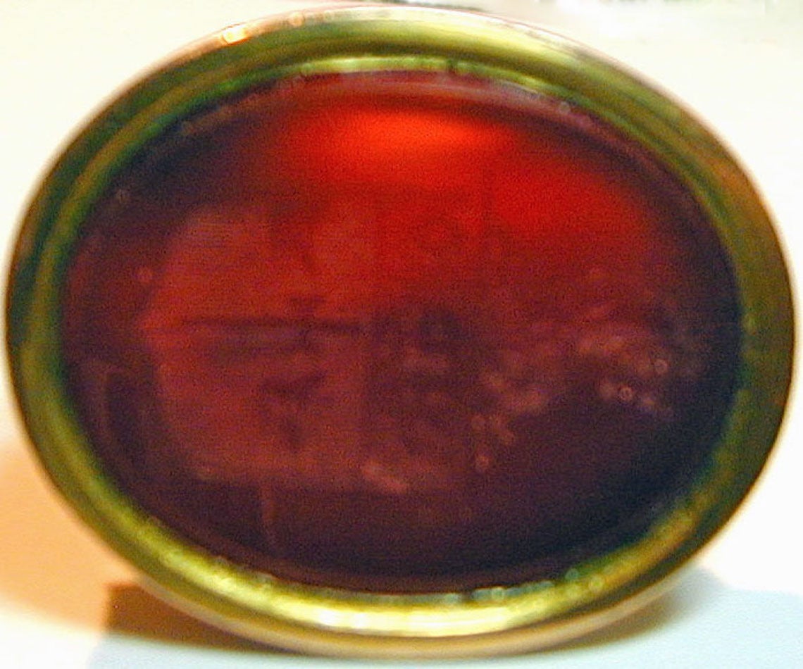 Antique Intaglio Carnelian Gold Dolphin Fob In Excellent Condition In Baltimore, MD