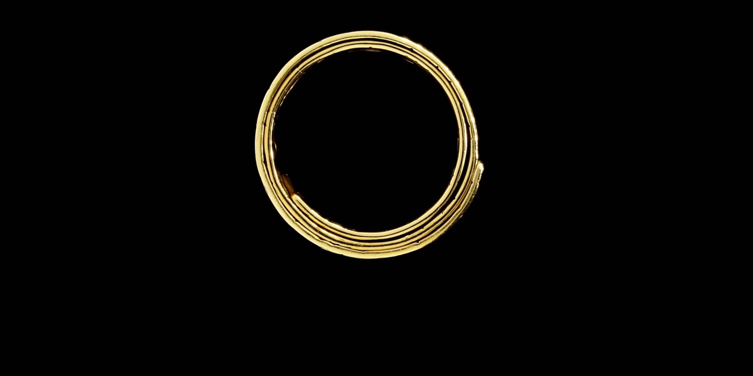 Women's Norbert Muerrle Very Rare Diamond Gold Recrolie Band Ring