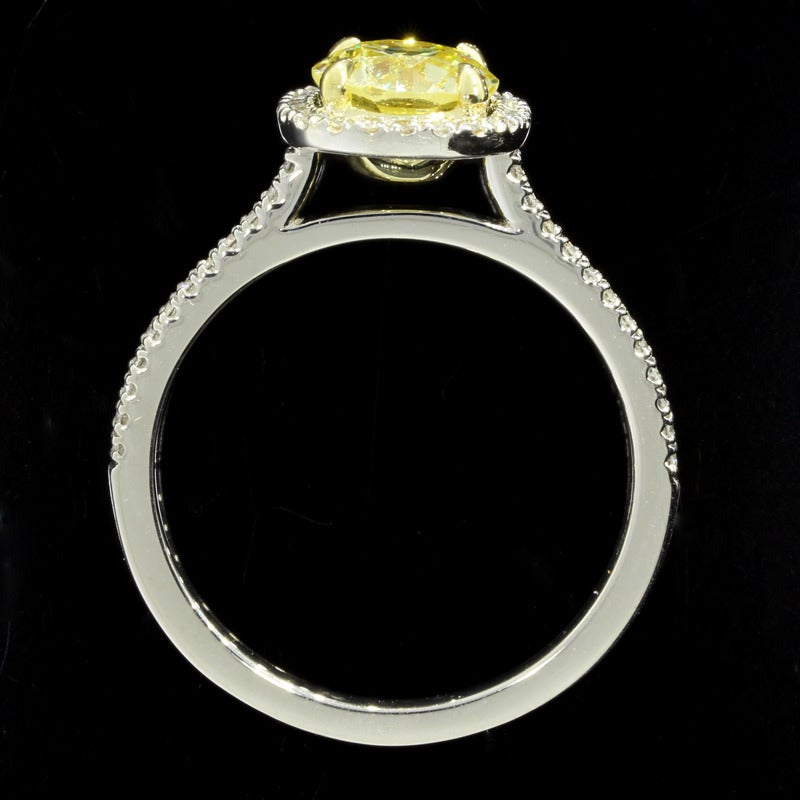 The ring features one old European brilliant center diamond, certified through the Gemological Institute of America (GIA). The diamond is a natural fancy yellow in color, with even distribution. The diamond is a VVS2 in clarity. The diamonds is set