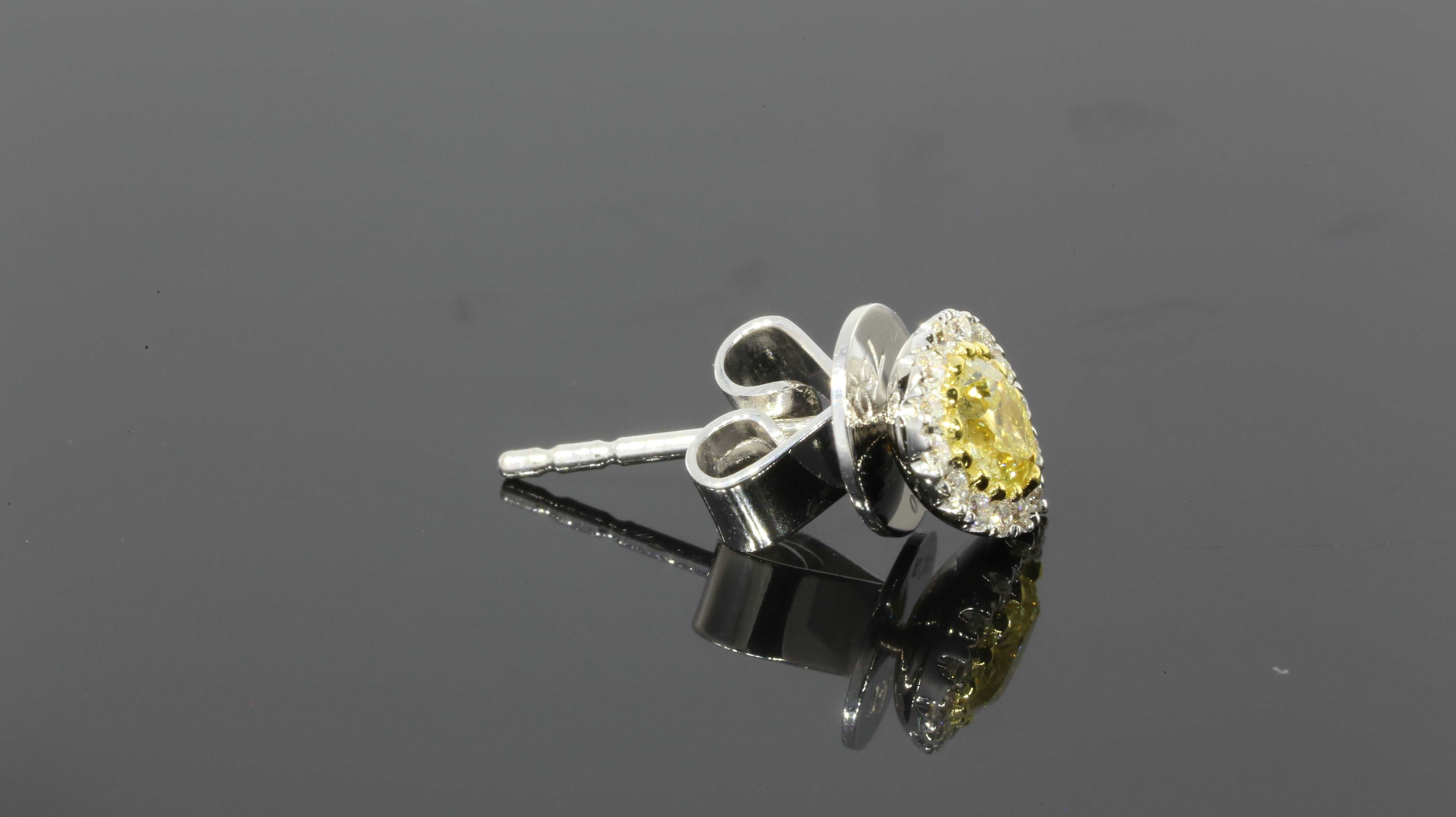 Pear Brilliant Cut Canary Diamond Gold Halo Stud Earrings In New Condition In Columbia, MO