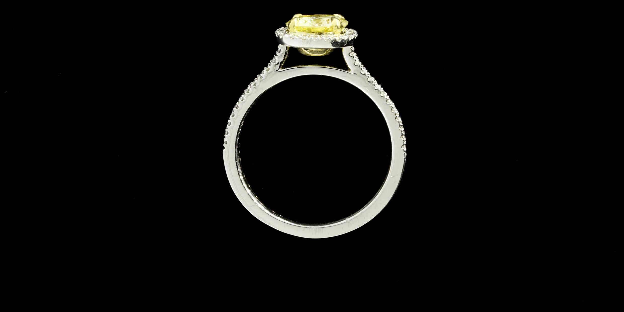 Fancy Light Yellow Canary Diamant Gold Platin Halo Ring 1