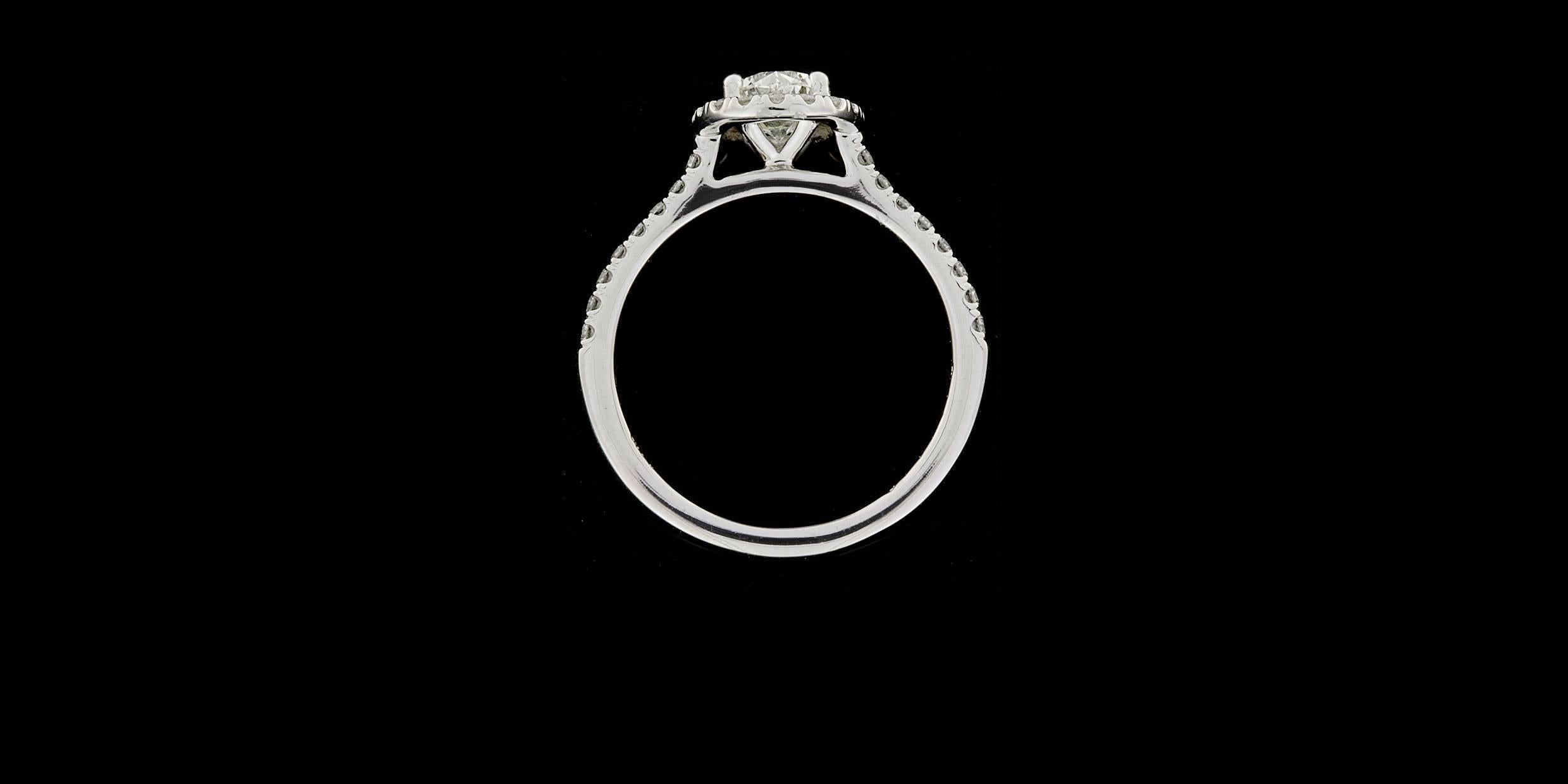 Women's Martin Flyer .75 Carat Oval Diamond Micropave Halo Gold Engagement Ring