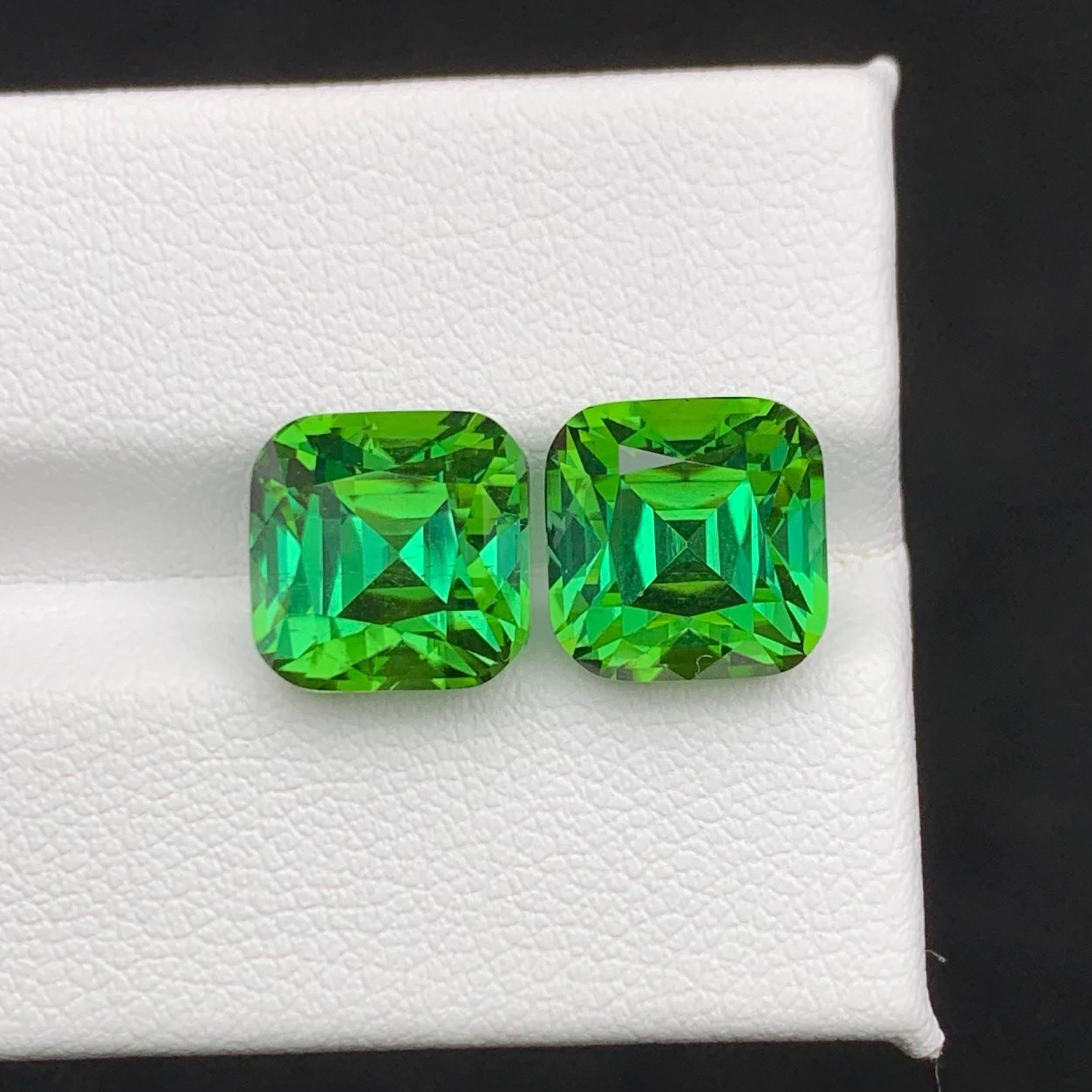 Gewicht 12,10 Karat 
Abmessungen 9.5x9.5x8.6mm
Behandlung Keine 
Herkunft Afghanistan 
Klarheit VVS 
Form Schnitt Kissen 





Wir präsentieren ein atemberaubendes 12,10 Karat natürliches, loses, grünlich-blaues Turmalinpaar, das fachmännisch im