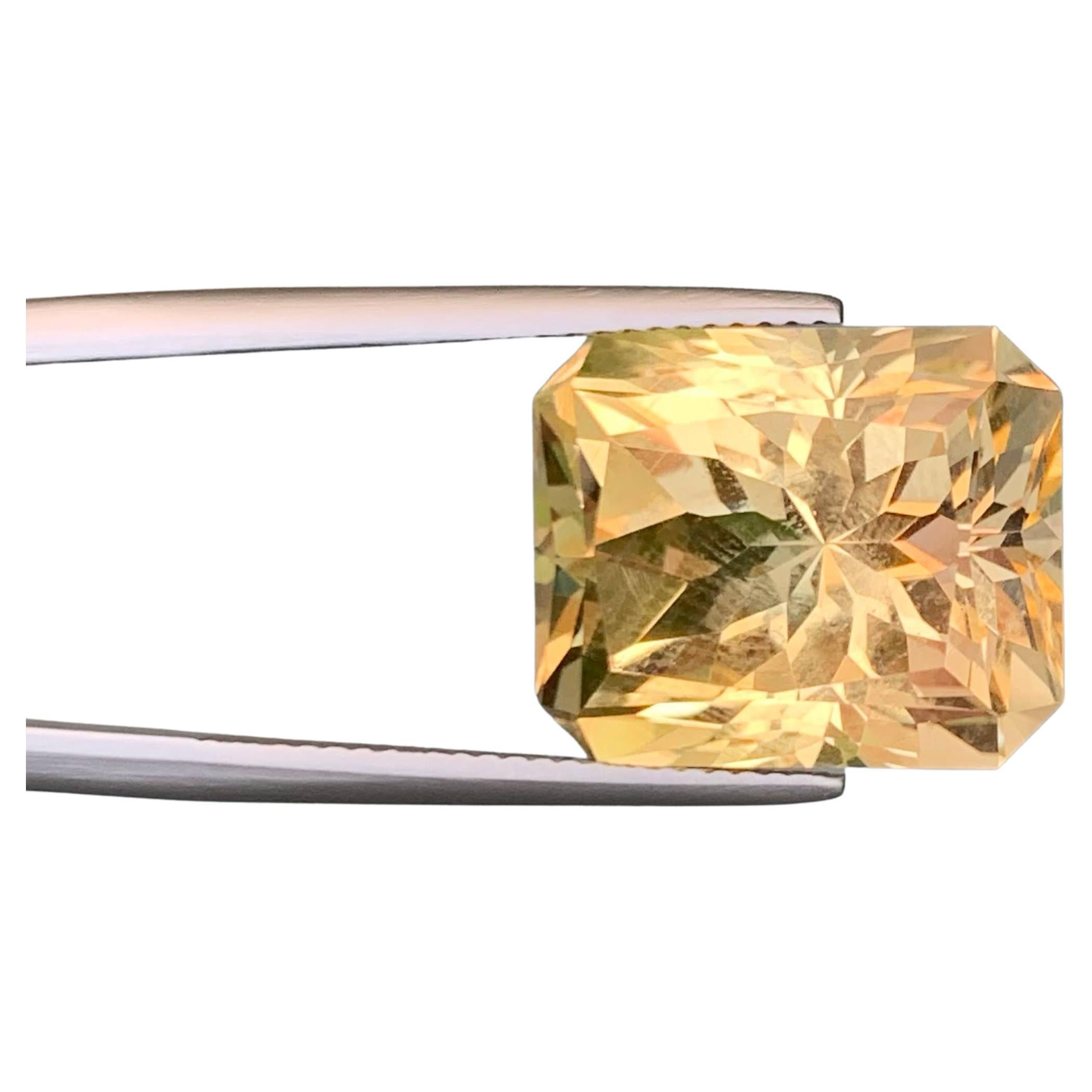 19.45 Carat Loose Frosted Golden Citrine Stone Custom Cut Natural Brazilian Gem