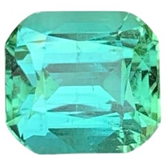 2.60 Carat Natural Loose Mint Green Tourmaline Cushion Cut Afghan Gemstone