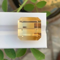48.60 Carat Natural Loose Bicolor Color Citrine For Jewelry African Gemstone