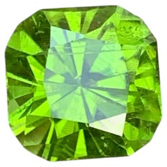 4.75 Carat Natural Loose Apple Green Peridot Stone Fancy Cut Pakistani Gemstone (pierre précieuse pakistanaise)