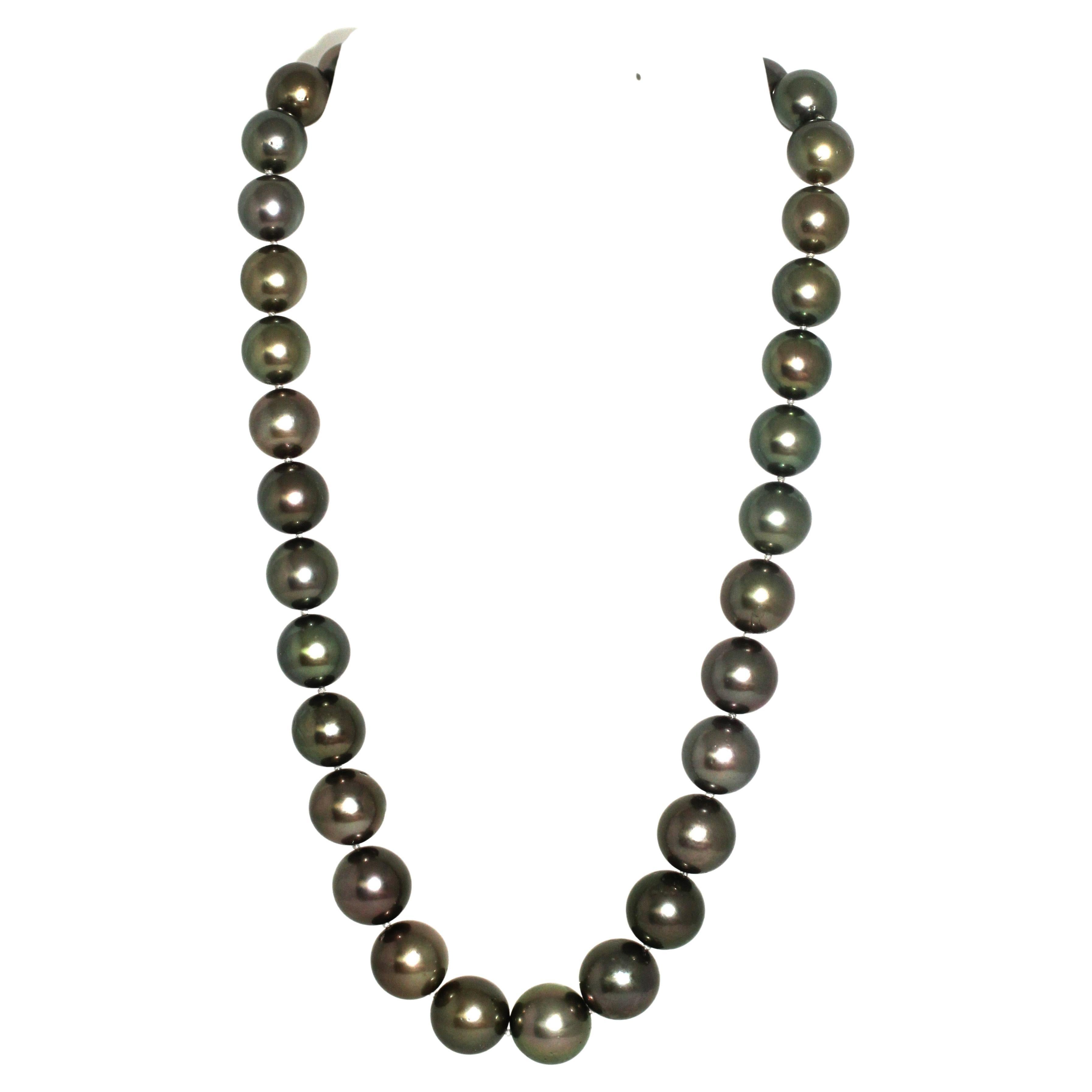 Hakimoto By Jewel Of Ocean 18K Tahitian South Sea Pearl Strand Necklace
18K White Gold  
Weight (g): 77.3
Cultured Tahitian South Sea Pearl 
Pearl Size: 10X13mm 
Pearl Shape: Round 
Body color: Black
Orient: Very Good
Luster: Very Good 
Surface: 