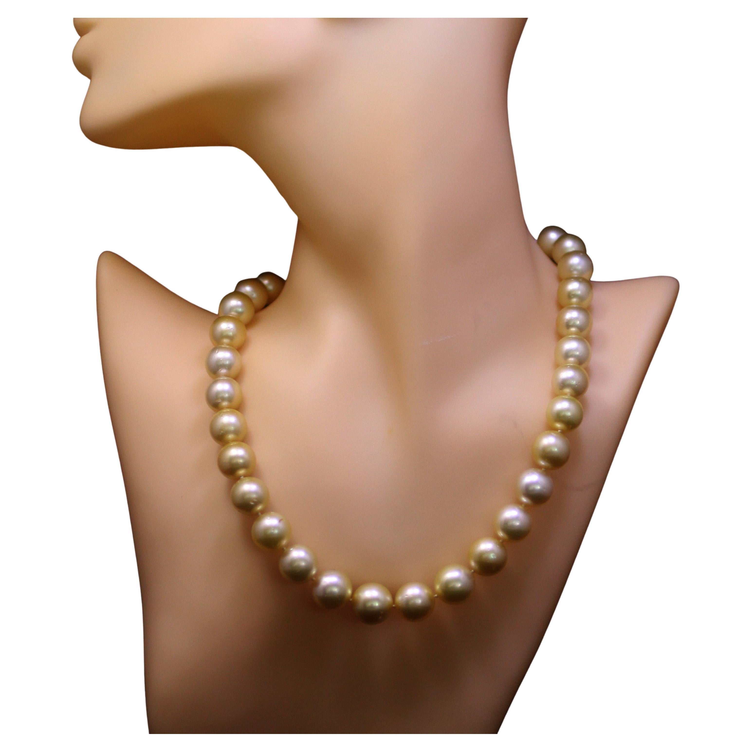 Hakimoto By Jewel Of Ocean 18K South Sea Strand Necklace
18K Yellow Gold  
Weight (g): 75.3
Cultured Natural Color Golden South Sea Pearl 
Pearl Size: 11X12.6mm 
Pearl Shape: Round 
Body color: Natural Color Golden
Orient: Very Good
Luster: Very