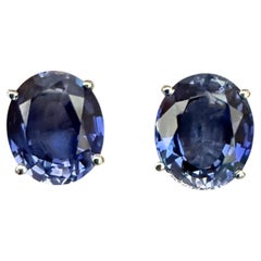 New 10.10 Carat Cornflower Blue Sapphire Sterling Post Earrings