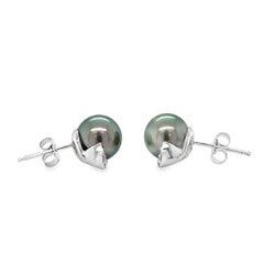 Black Tahitian Pearl and Diamond 14K White Gold Stud Earrings, 9.5mm