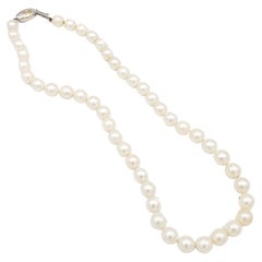 Antique NEW AAA+ Quality Japanese Akoya Salt Water White Pearl Necklace