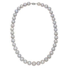 Tahitian Pearl Necklace with Sterling Silver Clasp 6