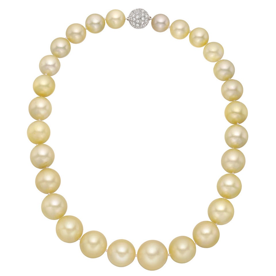 Yellow South Sea Pearl Necklace with Pave Diamond Clasp