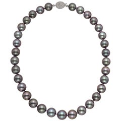 Tahitian Pearl Necklace with Pavé Diamond Clasp