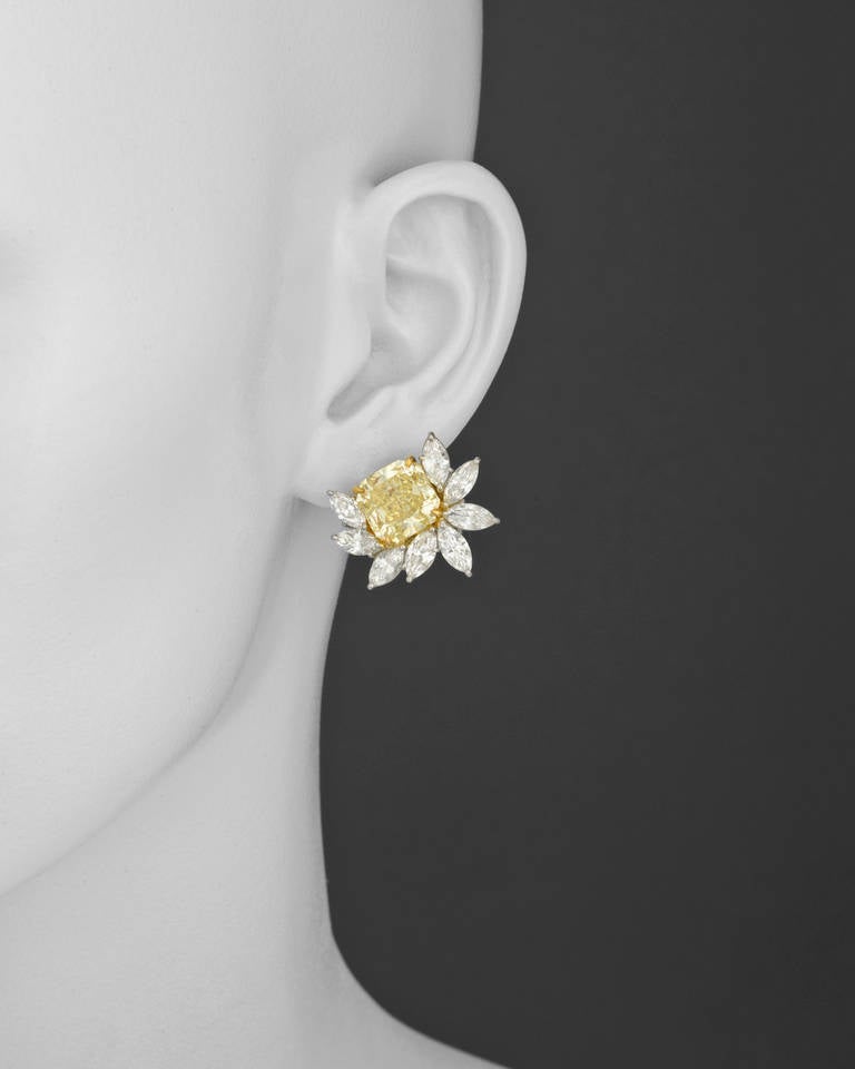 harry winston cluster earrings
