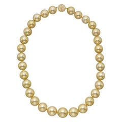 Golden South Sea Pearl Necklace with Pave Diamond Clasp