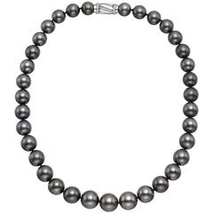 Tahitian Pearl Necklace with White Gold Diamond Clasp