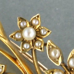 Victorian 14k Yellow Gold Pearl Branch Brooch, Netherlands, Circa 1880