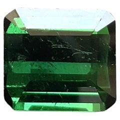 11.86 Karat Nigeria grüner Turmalin Top Qualität Oktagon Schliff Stein natürlich Edelstein