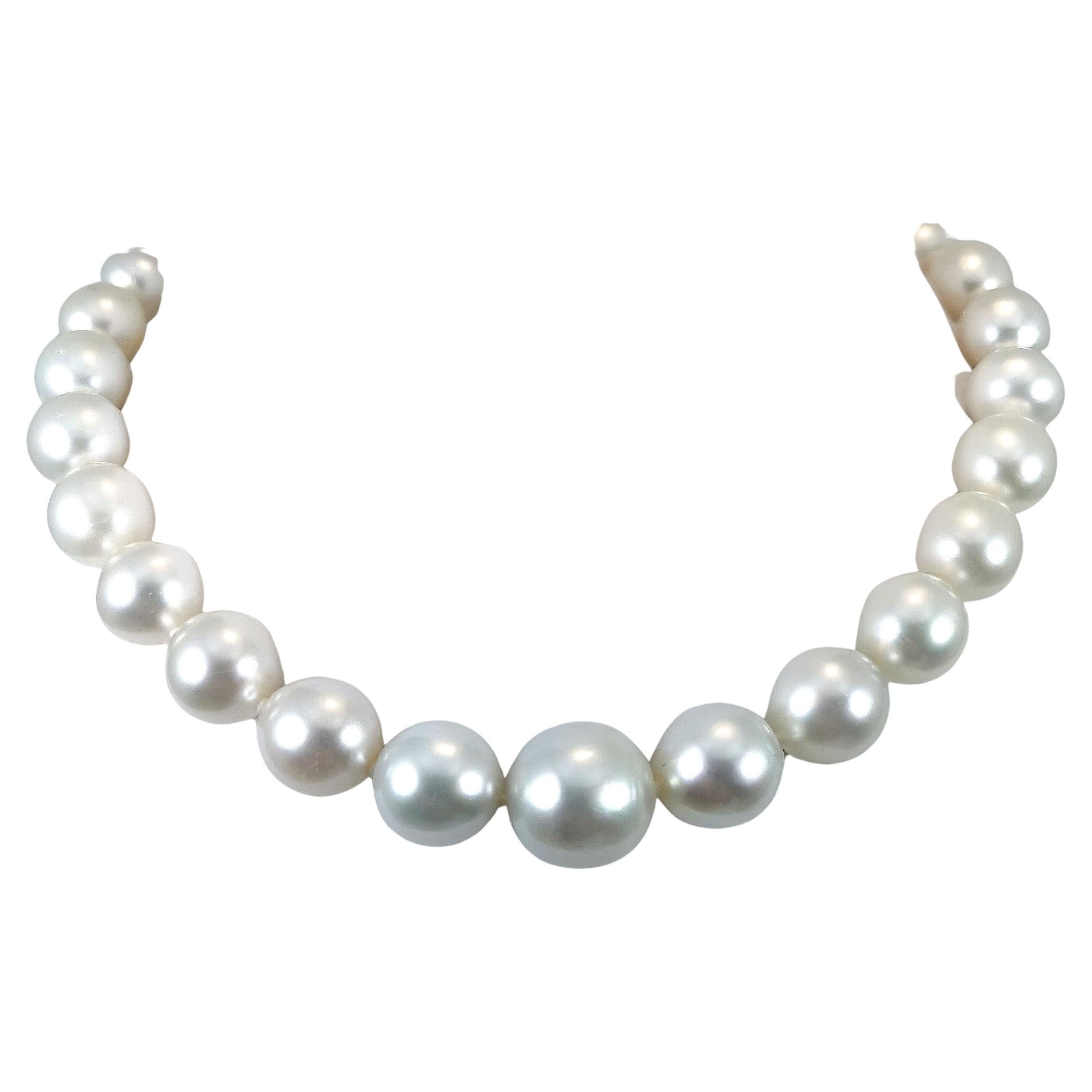 Huge Southsea pearls Necklace with 925S. Clasp