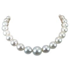 Huge Southsea-Perlen-Halskette mit 925S. Schließe