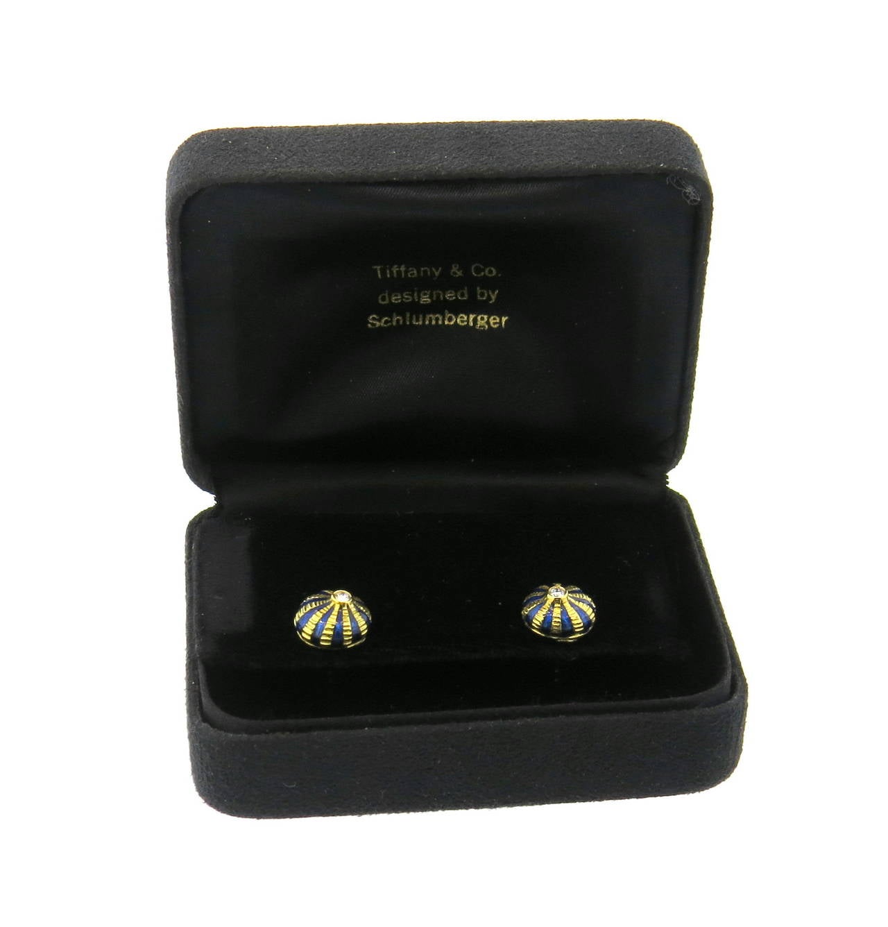 taj mahal earrings