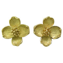 Tiffany & Co - Boucles d'oreilles fleur de cornouiller en or