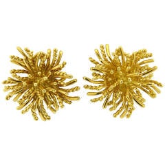 Tiffany & Co. Anemone Gold Earrings