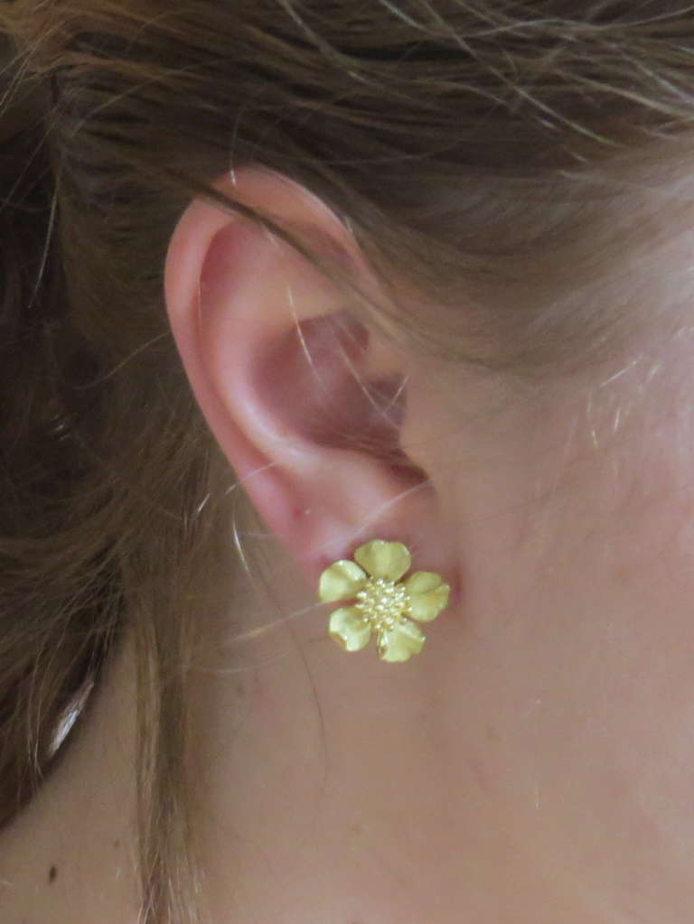 Women's Tiffany & Co Wild Rose Flower Gold Earrings