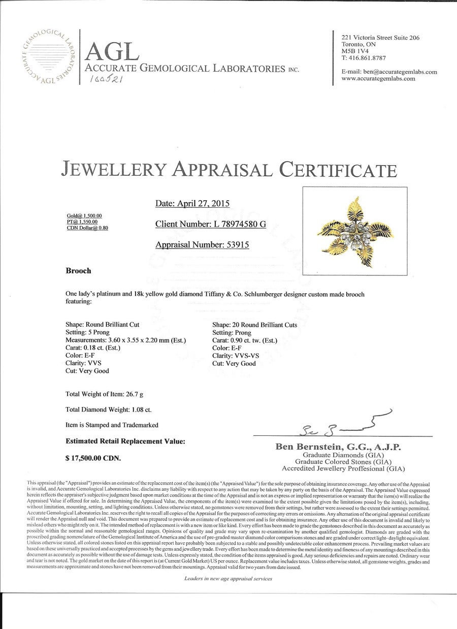 Tiffany & Co. Jean Schlumberger Diamond Gold Platinum Flower Brooch For Sale 1
