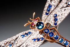 Joseph Nivelon Magnificent Antique En Tremblant Dragonfly Brooch