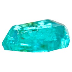 Natural Green/Blue Brazilian Paraiba Tourmaline 0.88 carat/GIA Report /Top Color
