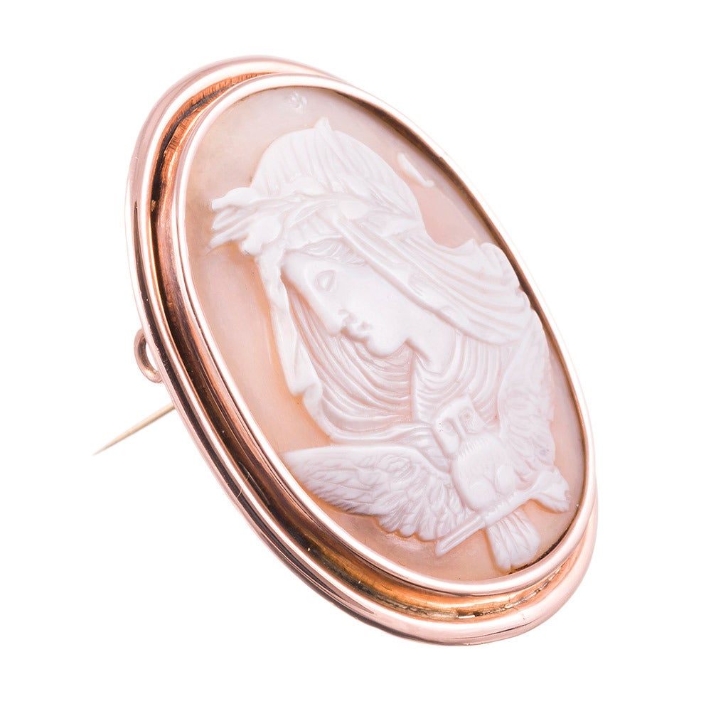 Victorian Carved Night Owl Cameo