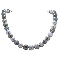 Collier sophistiqué de perles des mers du Sud de 10,9 mm en argent