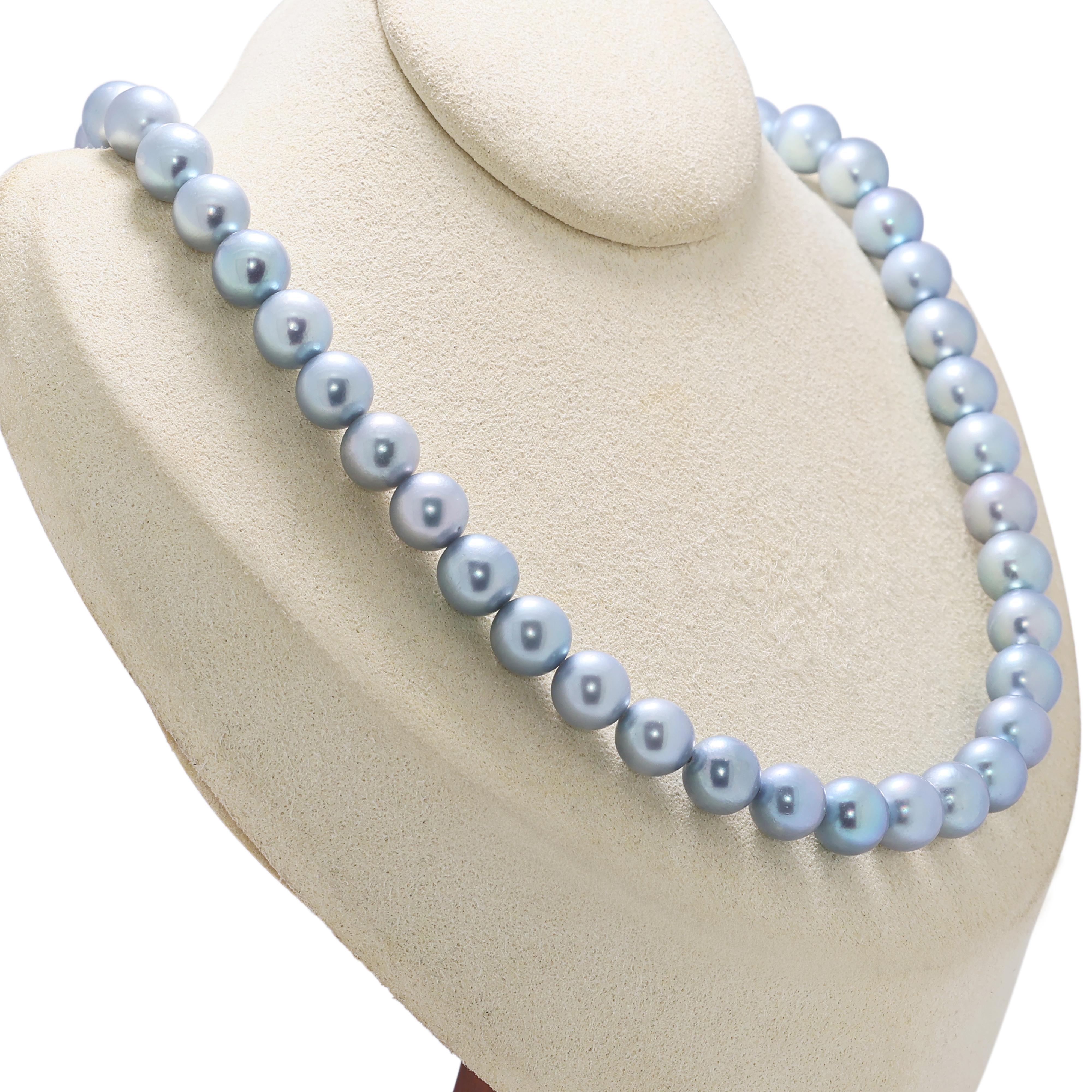 Collier exquis de perles d'Akoya bleues de 8,5 mm en argent Neuf - En vente à רמת גן, IL