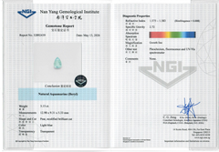 Mesmerizing 3.15ct Natural Aquamarine Loose Gemstone - NGI Certified