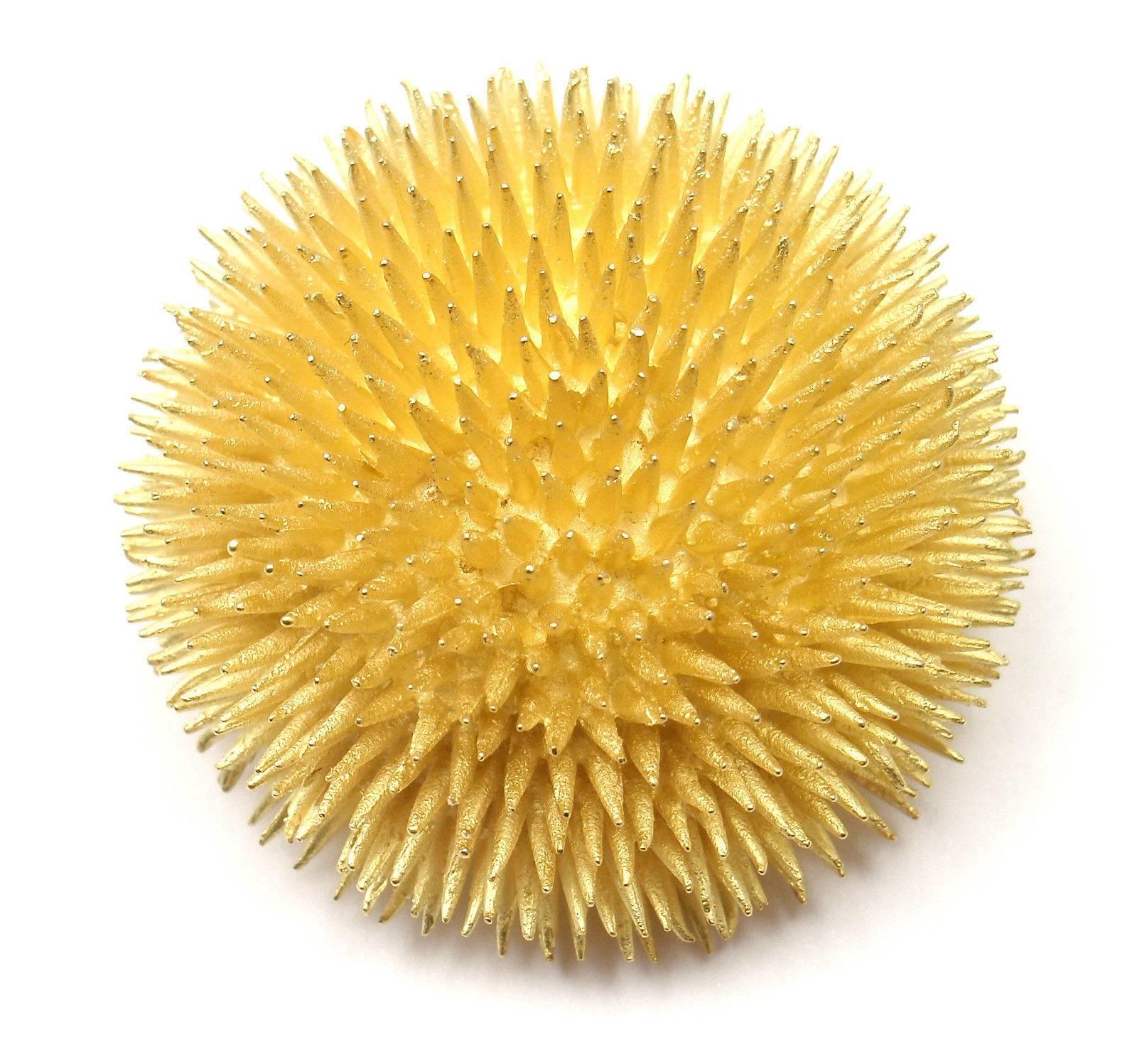 yellow urchin