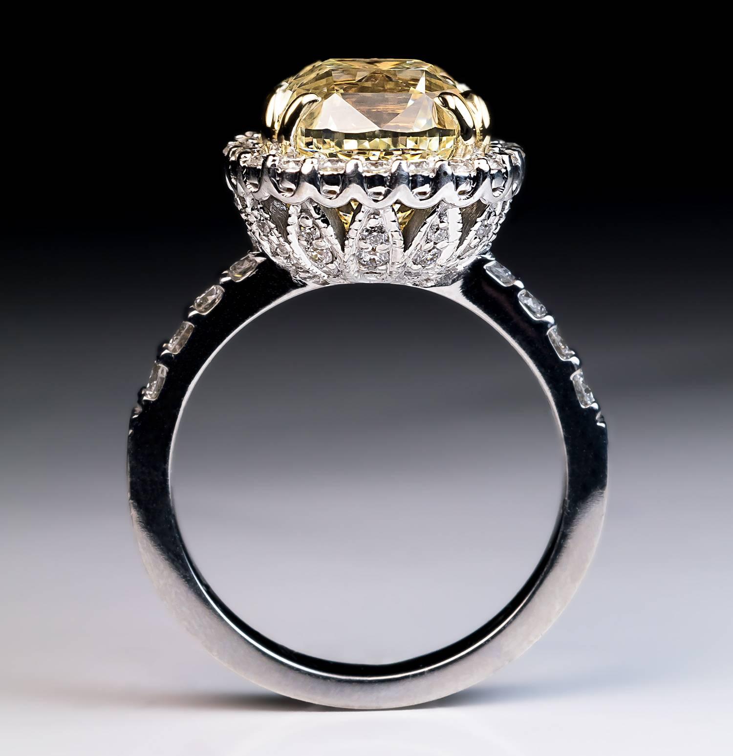 yellow engagement ring distributor -china -china -forum -blog -wikipedia -.cn -.gov -alibaba